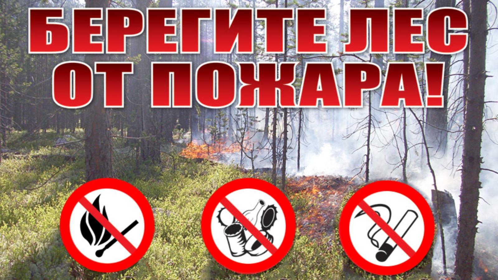 СОБЛЮДАЙТЕ ТРЕБОВАНИЯ ПРАВИЛ ПОЖАРНОЙ БЕЗОПАСНОСТИ В ЛЕСАХ!.