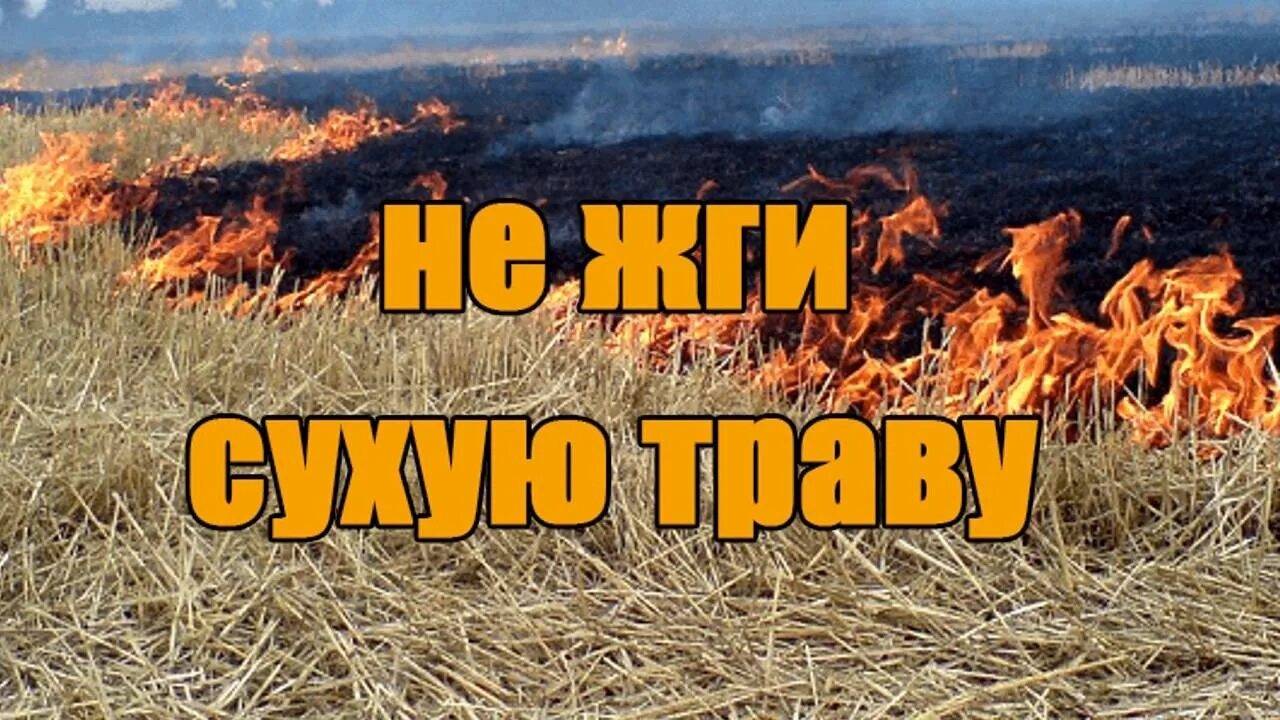 «ПАЛЫ СУХОЙ ТРАВЫ И ЧЕМ ОНИ ОПАСНЫ».