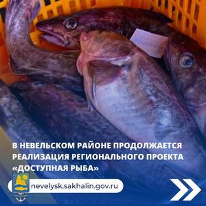В Невельском районе продолжается реализация регионального проекта «Доступная рыба».