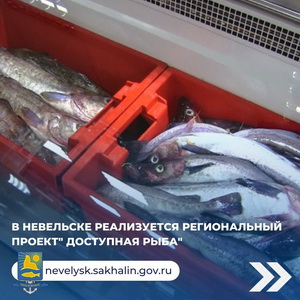 В Невельске продолжается реализация регионального проекта «Доступная рыба».