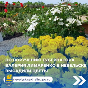 По поручению губернатора Валерия Лимаренко в Невельске высадили цветы.